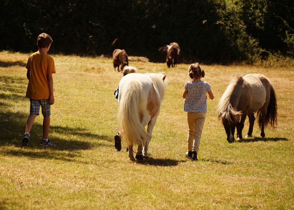 Riding sales little pony